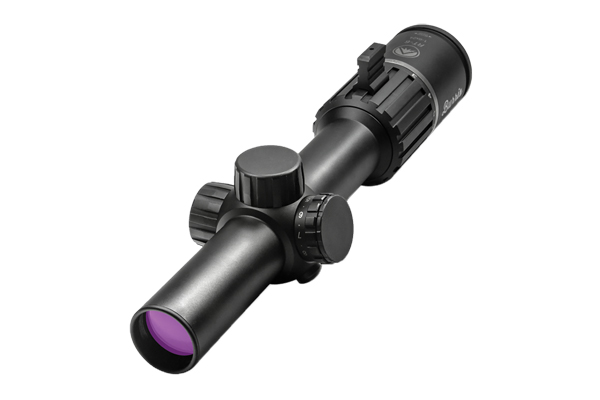 BURRIS RT6 1-6X24 BALLISTIC AR IR - for sale