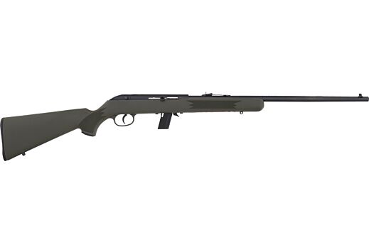 SAVAGE 64F 22LR 21" BBL BLUED/GREEN SYNTHETIC - for sale