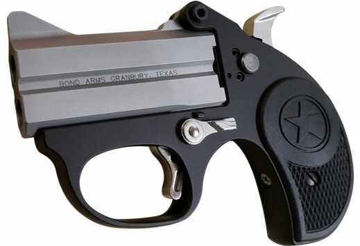 BOND ARMS STINGER 380ACP 3" BBL STAINLESS NYLON - for sale