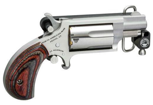 NAA MINI-REVOLVER 22LR 1-1/8" S/S MATTE WOOD W/BELT BUCKLE - for sale